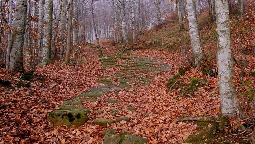 130 km a piedi: la Via degli Dei da Bologna a Firenze