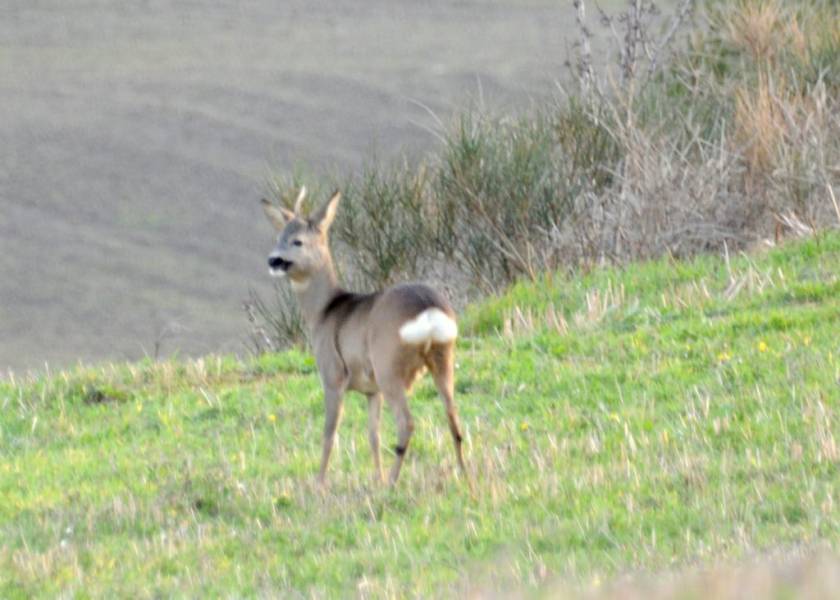 I Monti Sibillini, un luogo incantato nelle Marche tra grotte magiche, fate e unicorni