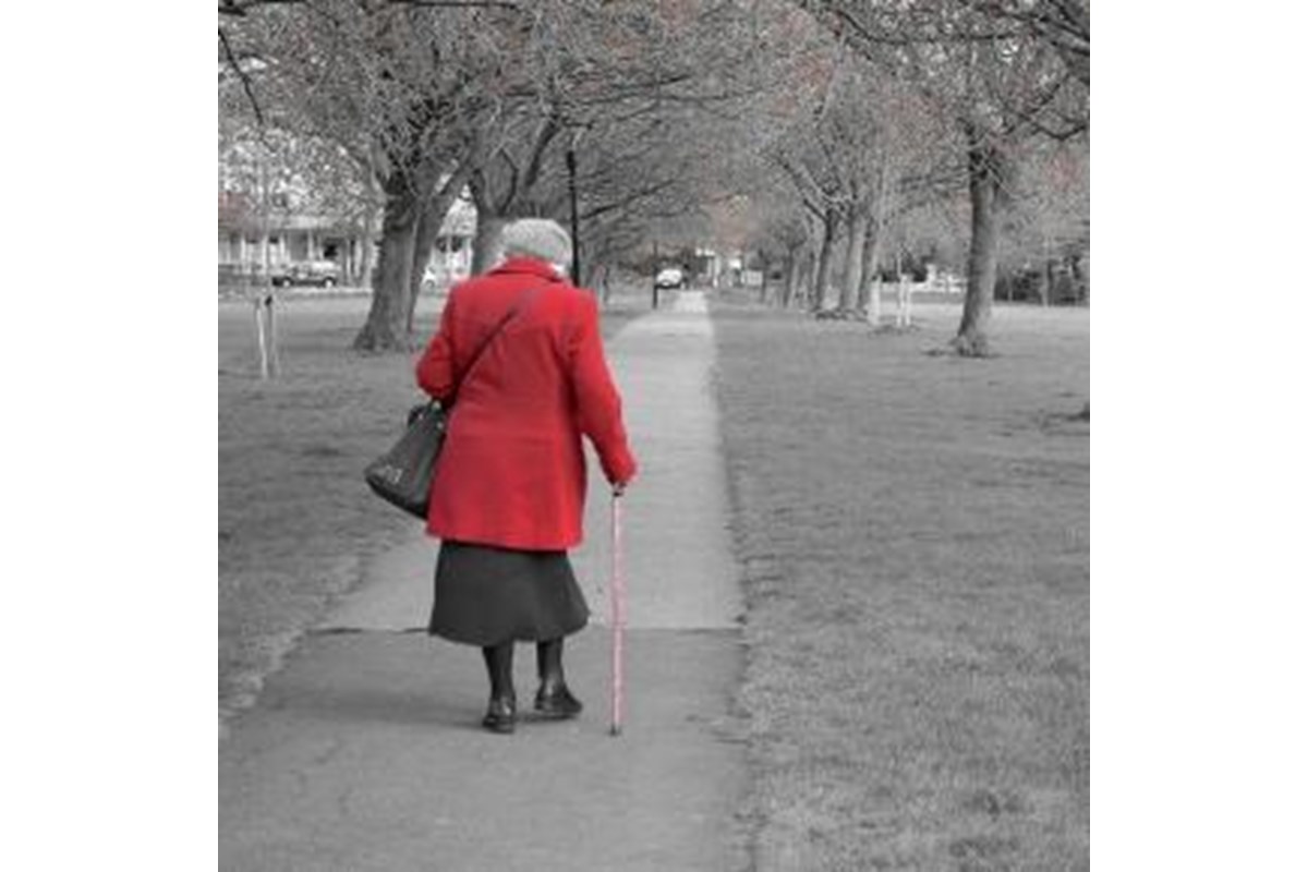 Riforma pensioni 2016, ultime novità ad oggi 11 maggio: l'On. Damiano chiede di non deludere i lavoratori
