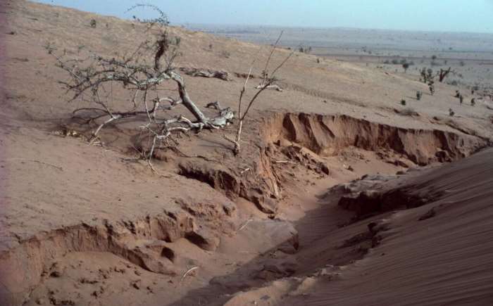 17 giugno, giornata mondiale contro la desertificazione. Anche l'Italia è a rischio!