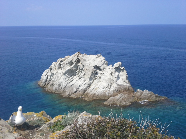 Spiagge dell'Isola d'Elba: escursione in kayak all'Enfola!