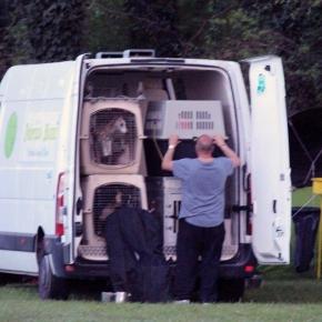 Strage di cani all'Expo Canina di Rende: ecco come sono andate realmente le cose