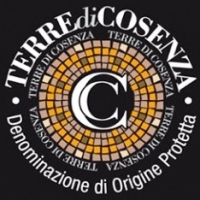 Vini da scoprire: i Dop Terre di Cosenza - sottozona Pollino.