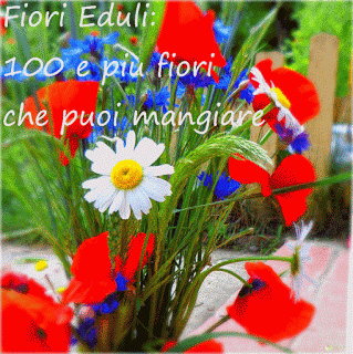 Fiori Eduli: Elenco Completo dei Fiori Commestibili