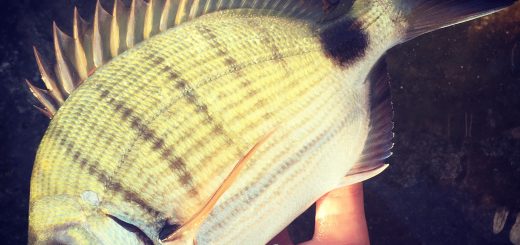 La passione per la pesca non va mai in vacanza!