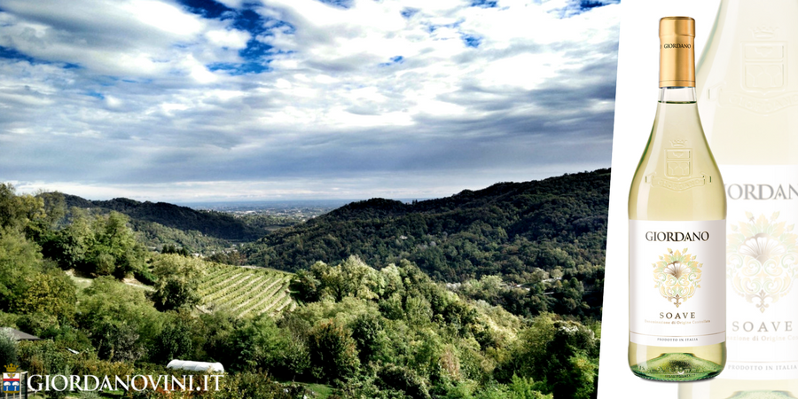 Soave DOC, un vino dal carattere internazionale: 5 abbinamenti da non perdere con piatti da tutta Europa!