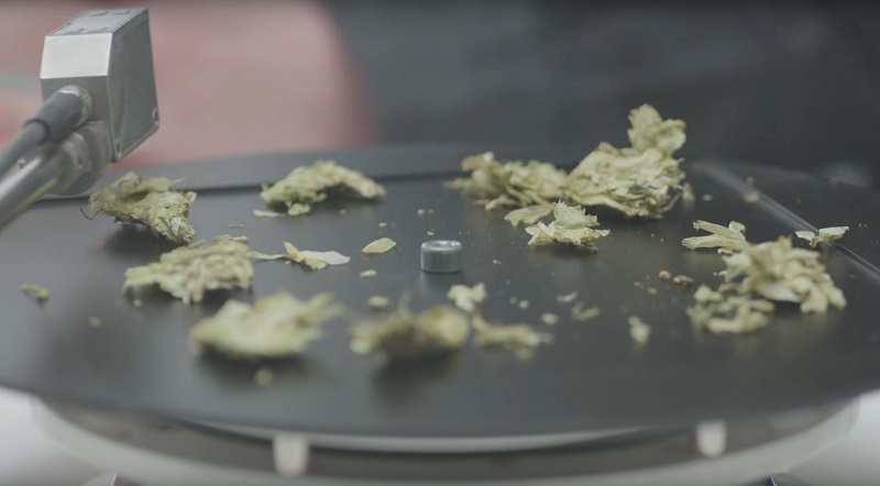 The Sound Brewery: con Nastro Azzurro gli ingredienti diventano musica