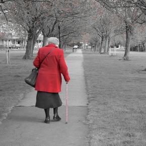 Pensioni. per i sindacati necessario esaminare il problema delle uscite: rischio povertà