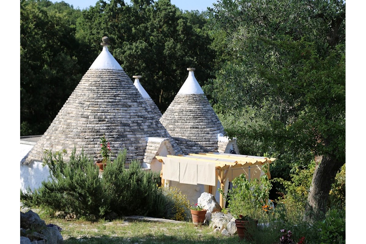 Vai in vacanza e trovi il tuo albero!