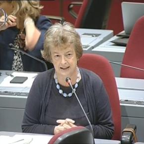 Pensioni e welfare, i commenti dell'On. Gnecchi nell'intervento in Commissioni riunite