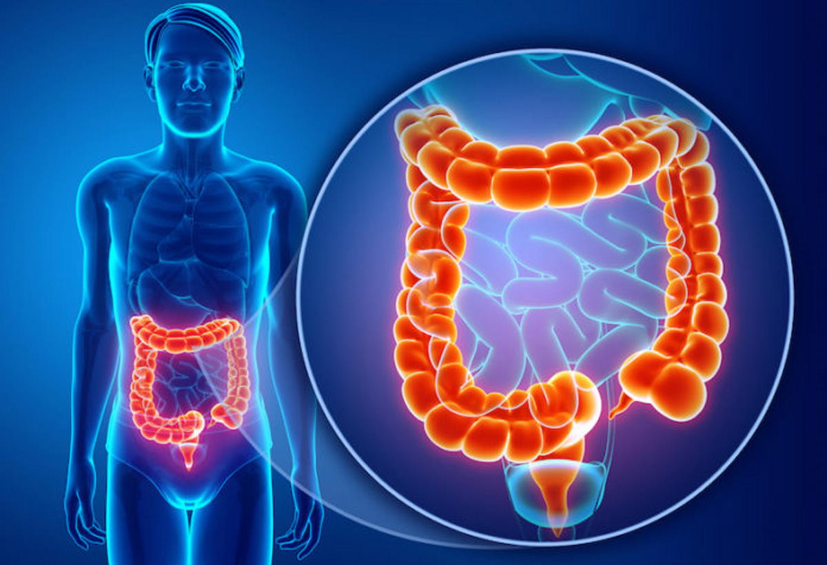 Covid19 il virus colpisce l'intestino e si trasmette anche per via